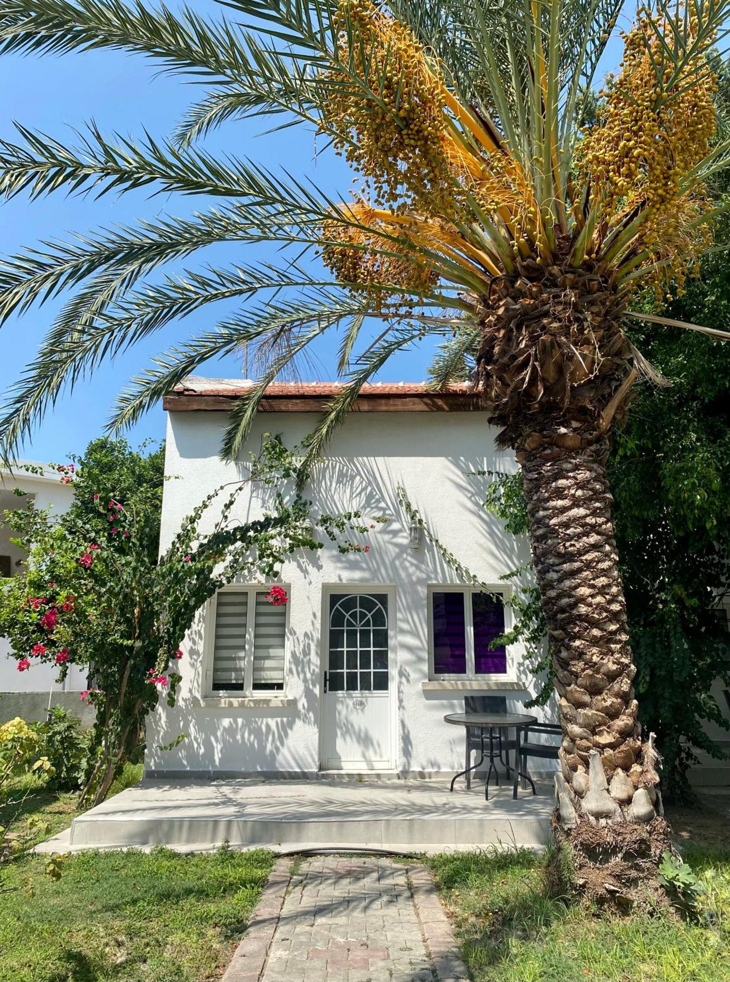 The Prince Inn Hotel & Villas Agios Georgios  المظهر الخارجي الصورة
