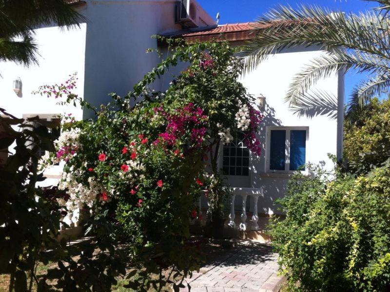 The Prince Inn Hotel & Villas Agios Georgios  المظهر الخارجي الصورة